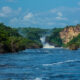 Boat Cruise in Murchison Falls