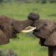 uganda safe for travelers