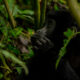 Buhoma Sector in Bwindi National Park