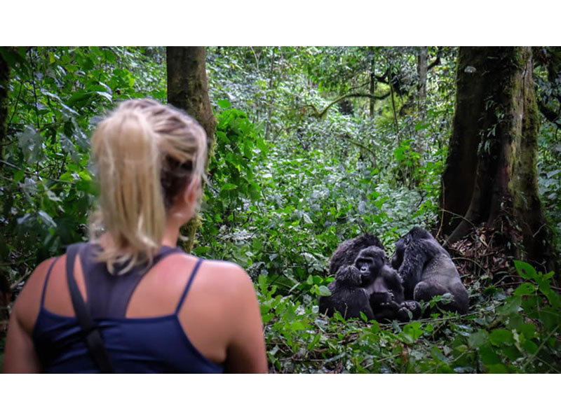 Buhoma Sector in Bwindi National Park