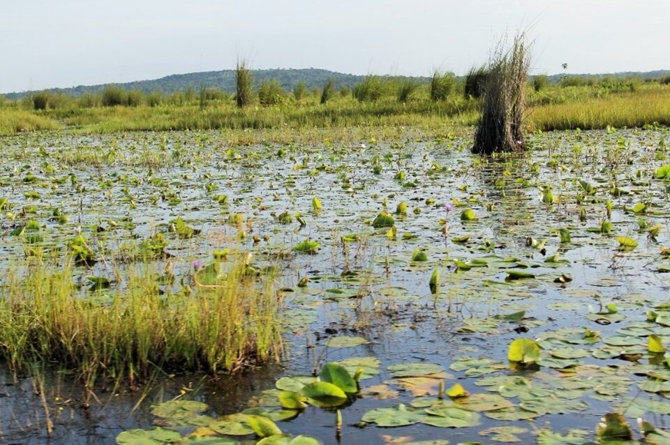  ramsa-sites-in-Uganda