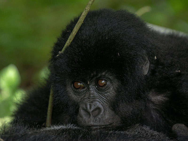 2024-tours-and-safaris