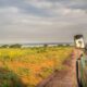 Uganda-Travel-Cost