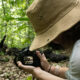 Chimpanzee-Tracking-at-Budongo