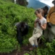 Uganda-Tour-Packages