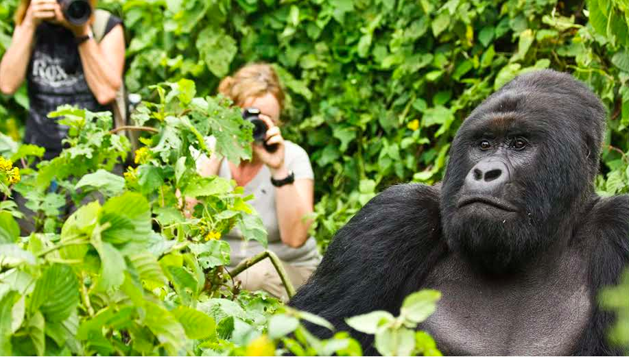 Uganda-Tour-Packages