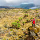 Uganda-trekking-safaris
