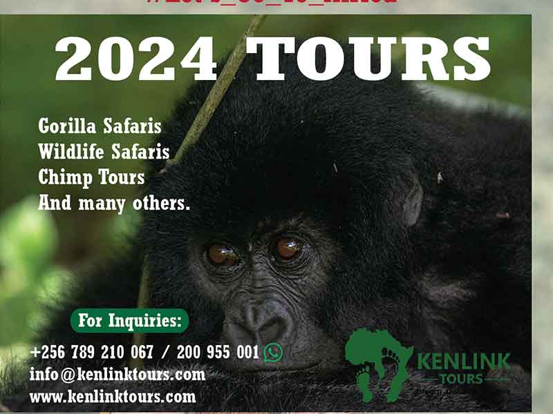Uganda-Tour-Packages