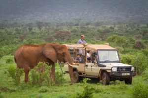 Samburu-National-Reserve