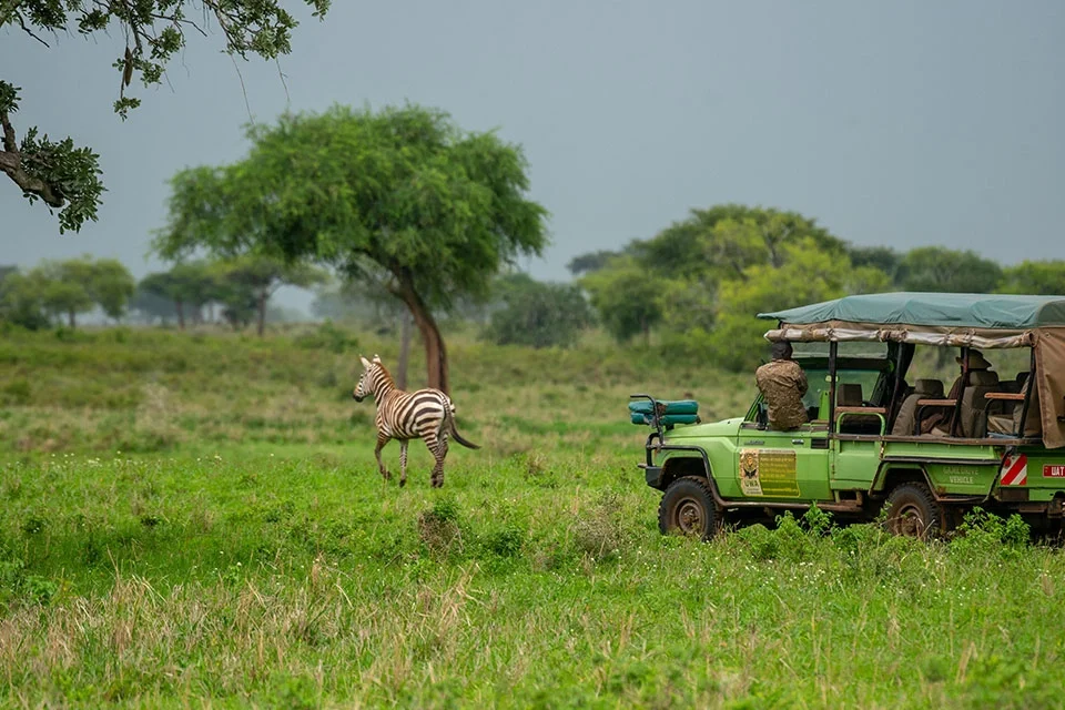 Safari-Booking-On-Short-Notice