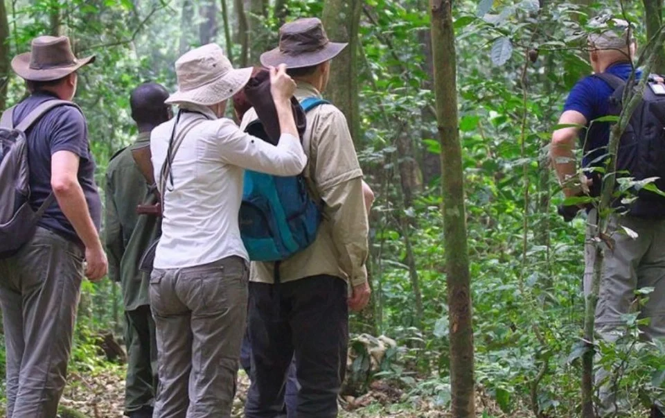 budget-uganda-safari-holidays-2024-2025-and-2026