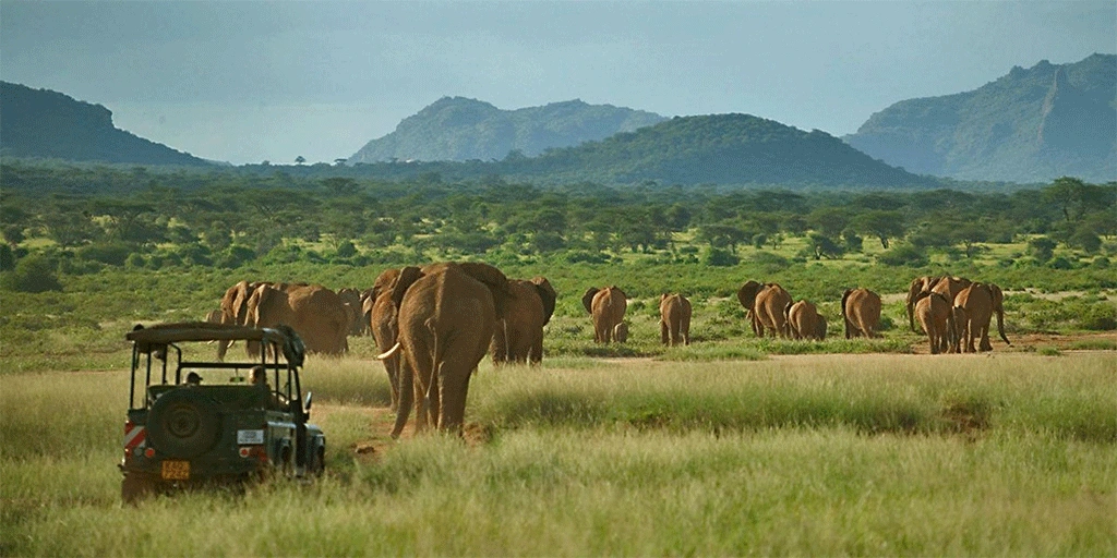 Samburu National Reserve