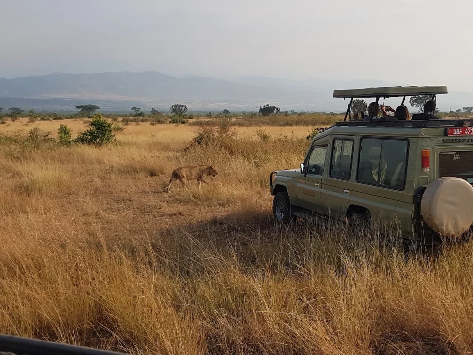 best-places-to-visit-in-uganda-in-christmas-season