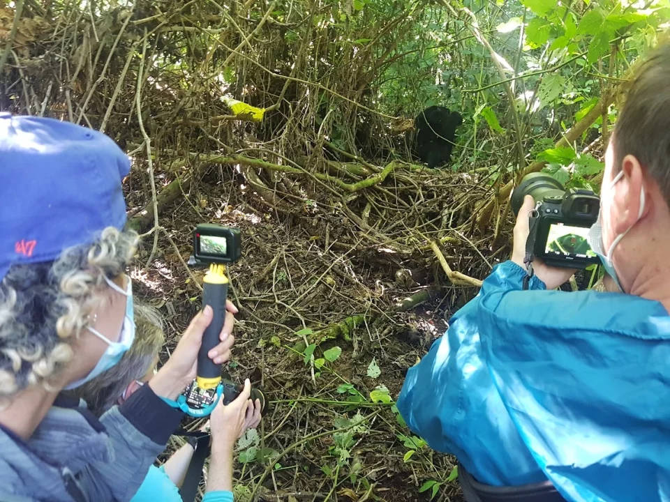 what-to-pack-on-gorilla-trekking-safari-in-volcanoes-national-park