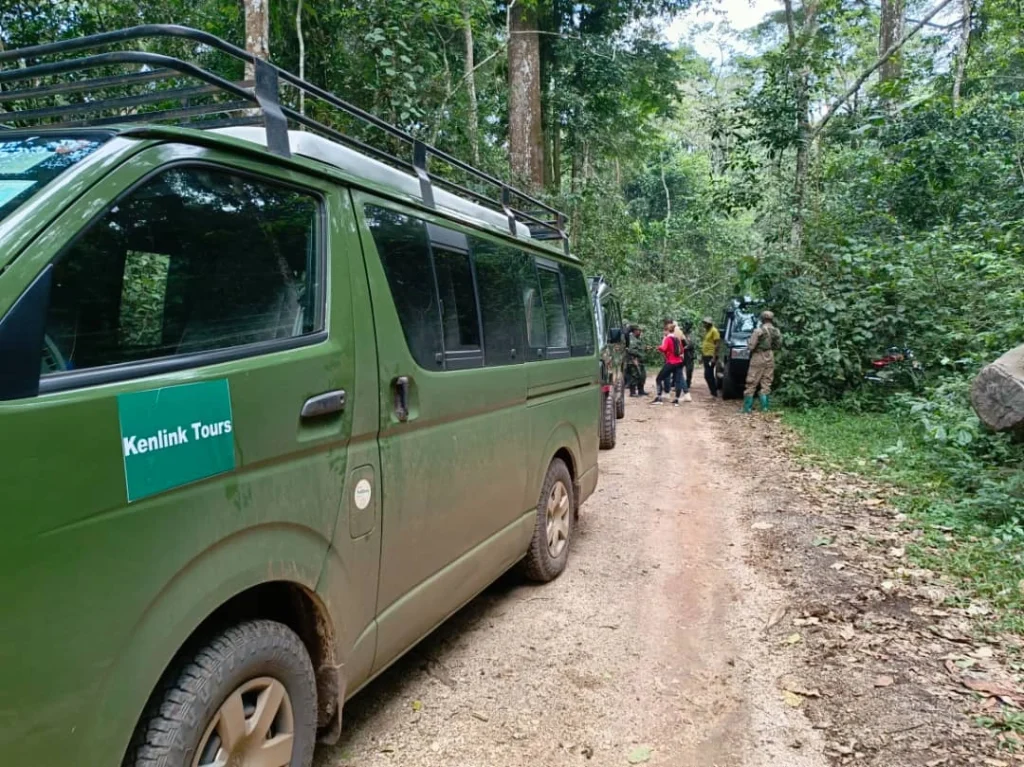 uganda-safari