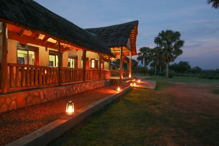 pakuba-safari-lodge Unrivaled Views and a Harmonious Design Pakuba Safari Lodge is thoughtfully designed to maximize its stunning location on the eastern bank of the Albert Nile. The lodge’s strategic layout ensures that nearly every room and common area offers sweeping views of the majestic River Nile and the surrounding riverine forest. Guests can relax on their private verandas, taking in the tranquil ambiance while being captivated by the panoramic vistas that stretch out before them. The distant rolling hills add to the enchanting scenery, creating a backdrop that is both awe-inspiring and soothing. The lodge’s architecture and design are a seamless blend of natural splendor and modern comfort. Each room is carefully positioned to offer privacy while still allowing guests to immerse themselves in the breathtaking surroundings. The interiors reflect a harmonious blend of rustic charm and contemporary elegance, providing a comfortable and luxurious environment in which to unwind after a day of exploration. A Gateway to Murchison Falls National Park Pakuba Safari Lodge is more than just a place to stay; it is a gateway to the wonders of Murchison Falls National Park. The lodge’s location within the park offers guests unparalleled access to some of Uganda’s most extraordinary wildlife and landscapes. Murchison Falls National Park is renowned for its rich biodiversity and stunning scenery, and Pakuba Safari Lodge is ideally situated to showcase all that this incredible destination has to offer. Guests can embark on thrilling game drives that take them deep into the park, where they can encounter a wide variety of wildlife, including elephants, giraffes, buffaloes, and antelopes. The park is also home to large populations of hippos and crocodiles, which can often be seen basking along the banks of the Nile. For bird enthusiasts, Murchison Falls National Park is a paradise, with over 450 species of birds, including the iconic shoebill stork. One of the highlights of staying at Pakuba Safari Lodge is the opportunity to experience the park’s most famous attraction: Murchison Falls. A boat trip along the Nile takes guests to the base of the falls, where the river plunges through a narrow gorge with tremendous force, creating a spectacle of nature that is both powerful and mesmerizing. The lodge can arrange guided tours to the falls, allowing guests to witness this natural wonder up close. Wildlife Encounters at Your Doorstep What truly sets Pakuba Safari Lodge apart is its unique proximity to wildlife. The lodge’s location within Murchison Falls National Park means that guests are never far from the park’s diverse fauna. It is not uncommon for guests to wake up to the sight of elephants grazing near their rooms or to spot antelopes wandering through the lodge’s grounds. The possibility of encountering a leopard right at your doorstep adds an element of excitement and adventure to the stay, making every moment at Pakuba Safari Lodge a memorable experience. The lodge’s commitment to preserving the natural environment is evident in its sustainable practices and eco-friendly design. Pakuba Safari Lodge strives to minimize its impact on the surrounding ecosystem while providing guests with an authentic and immersive wildlife experience. This dedication to conservation ensures that future generations will continue to enjoy the beauty and diversity of Murchison Falls National Park. A Haven for Nature Enthusiasts For nature enthusiasts, Pakuba Safari Lodge is a dream destination. The lodge offers a range of activities that allow guests to explore the park’s natural wonders at their own pace. Whether it’s a guided nature walk, a bird-watching excursion, or a sunset cruise along the Nile, there are endless opportunities to connect with the wild and discover the park’s hidden treasures. In the evenings, guests can gather around the campfire to share stories of the day’s adventures, or simply relax in the lodge’s cozy lounge, where the sounds of the African bush provide a soothing soundtrack to the night. The lodge’s warm and welcoming atmosphere, combined with its exceptional location and unparalleled views, makes it a true haven for those seeking an extraordinary and unforgettable safari experience in Uganda.
