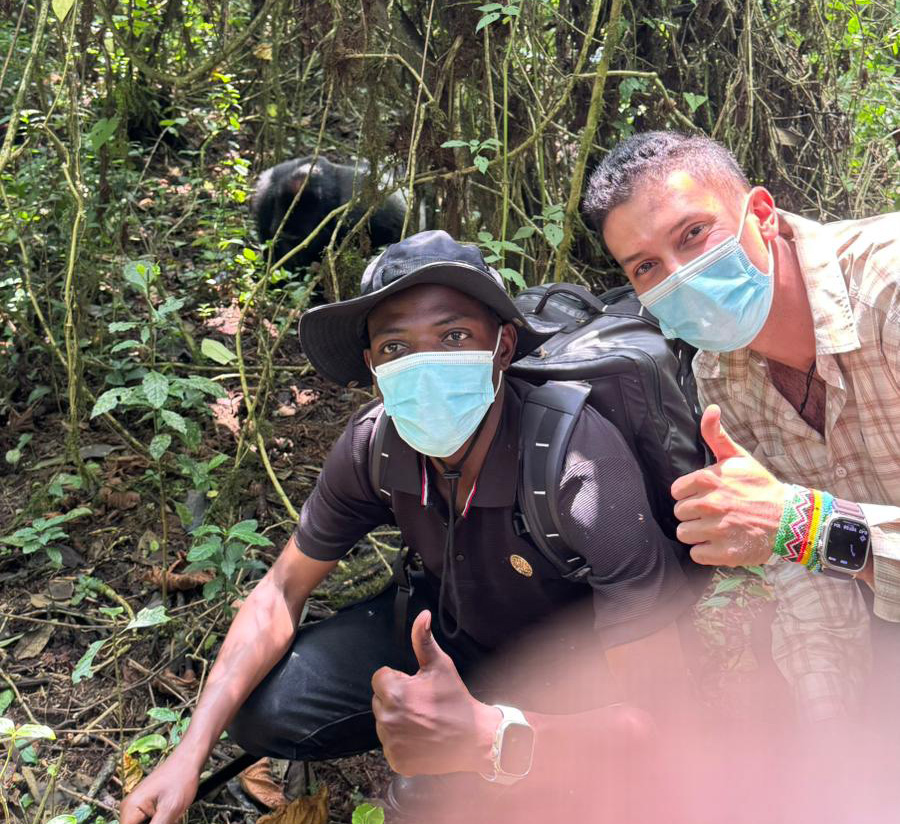 one-day-gorilla-trekking-in-uganda-from-rwanda