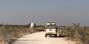 namibia-self-drive-safari