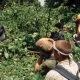 are-children-allowed-to-do-gorilla-trekking-in-uganda