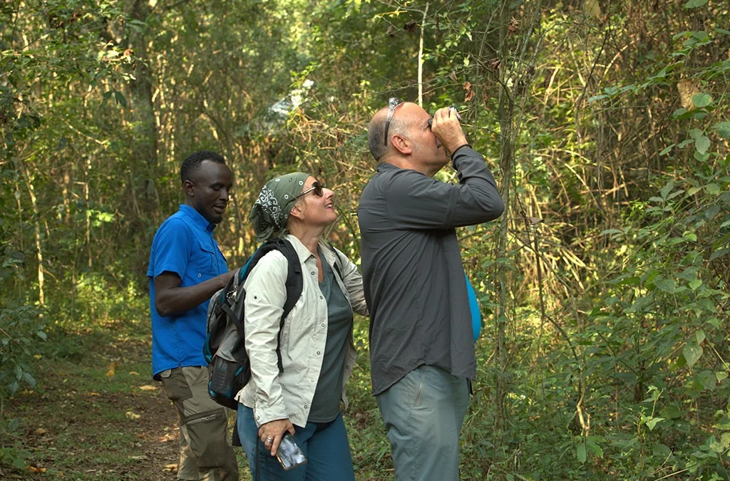 what-time-does-chimpanzee-trekking-start-in-kibale