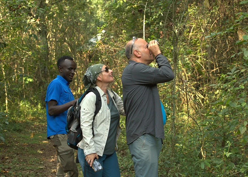 what-time-does-chimpanzee-trekking-start-in-kibale