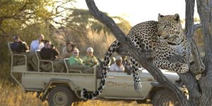 namibia-tours-and-safari-vacations