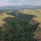 why-kyambura-gorge-chimp-trekking-is-not-popular