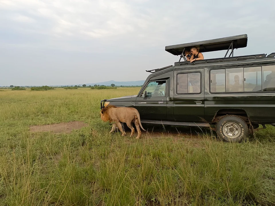 best-uganda-adventures-2026-2027