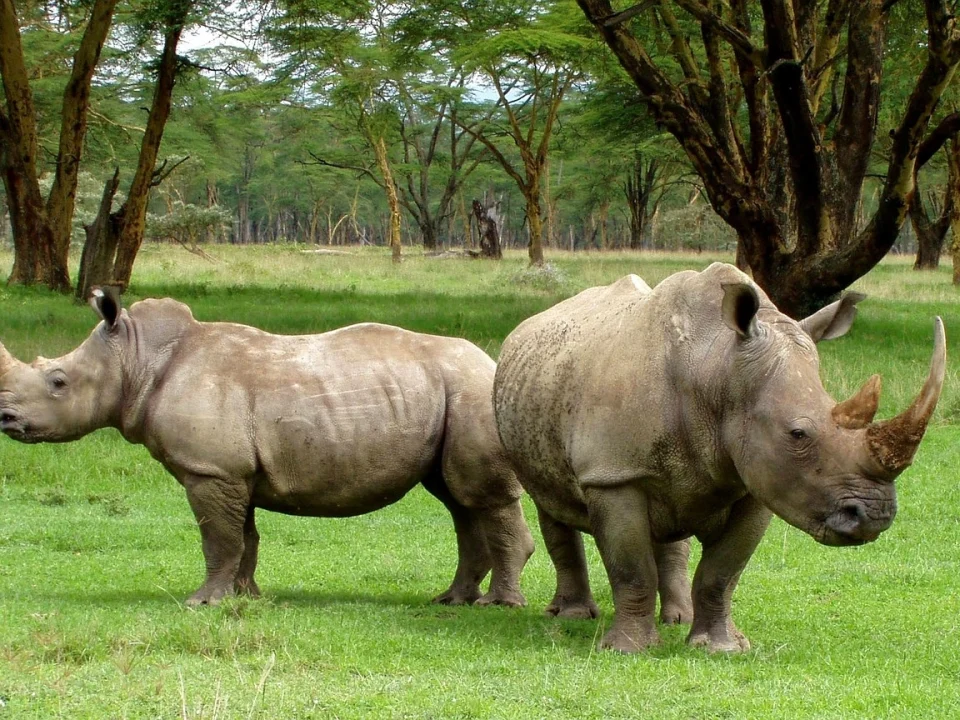 ajai-wildlife-reserve