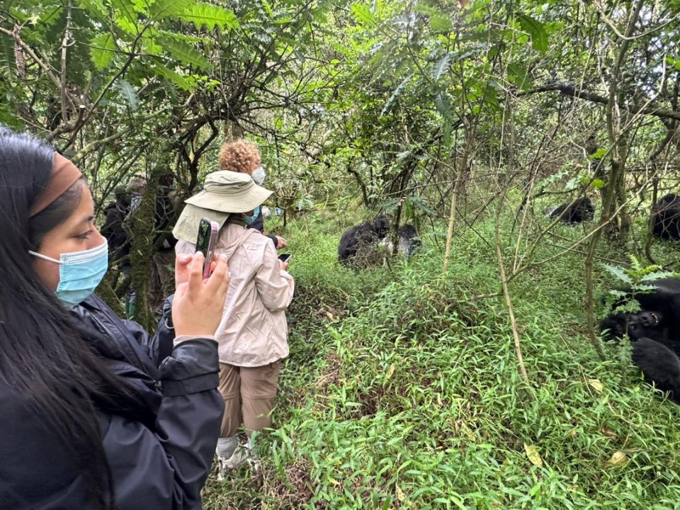 9-day-wildlife-primate-and-nature-experience-in-uganda