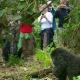 are-there-german-tourist-guides-in-uganda