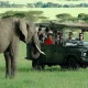 best-recommended-family-safaris-in-uganda