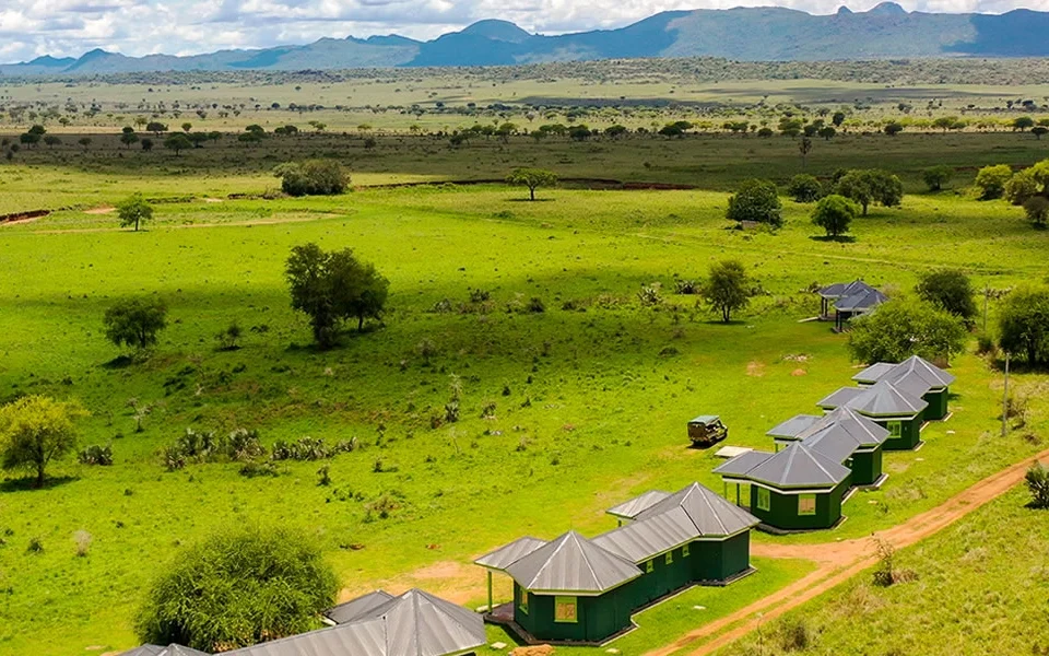 mix-wildlife-safaris-and-gorilla-trekking-in-uganda