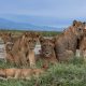 budget-safari-tours-in-uganda-wildlife-adventures-for-less