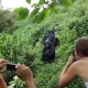 gorilla-trekking-and-cultural-experience-safari-from-kigali