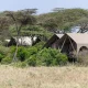 luxury-lodges-for-the-great-migration-experience