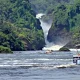 primate-and-wildlife-safaris-murchison-falls-national-park