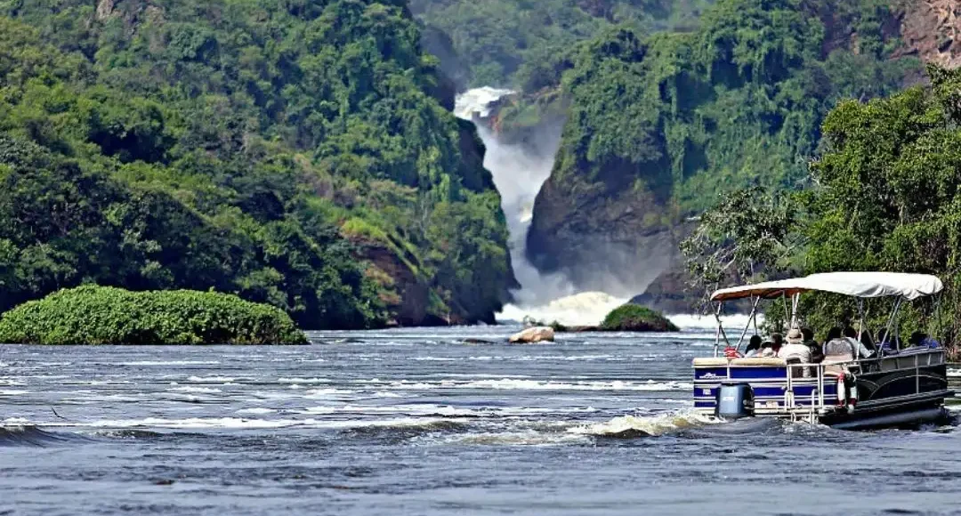 primate-and-wildlife-safaris-murchison-falls-national-park