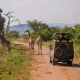 best-safari-parks-in-uganda-and-rwanda-for-photography-lovers