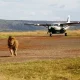 3-days-kidepo-fly-in-safari