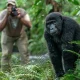 from-kigali-to-bwindi-impenetrable-forest-gorilla-trekking-safari