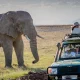 adventure-safaris-in-uganda-what-to-expect