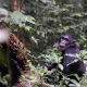 weekend-budget-safari-from-kampala