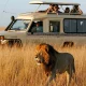 what-to-expect-on-your-first-african-safari-in-uganda-and-rwanda