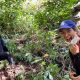 combined-gorilla-trekking-and-birding-safaris-in-uganda