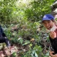 5-day-uganda-to-rwanda-gorilla-trekking-safari-adventure