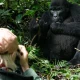 gorilla-trekking-in-bwindis-rushaga-sector-from-kigali