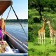 top-things-to-do-in-murchison-falls-national-park