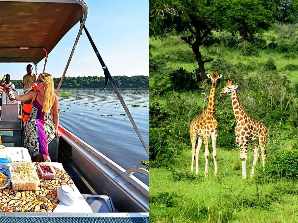 top-things-to-do-in-murchison-falls-national-park