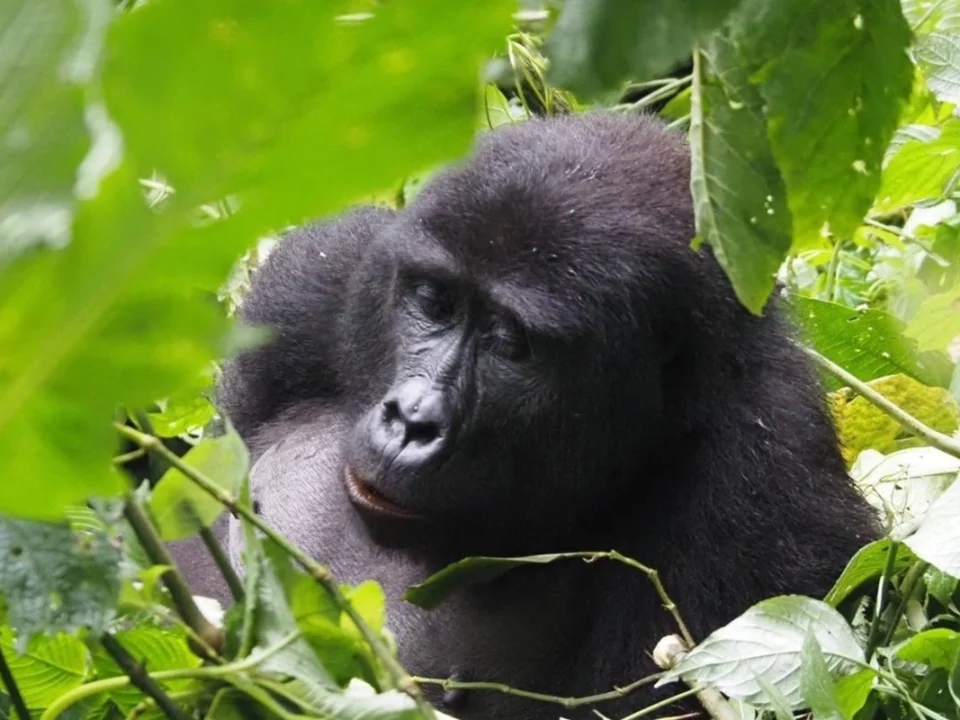 best-value-safari-packages-in-east-africa-for-couples-and-small-groups